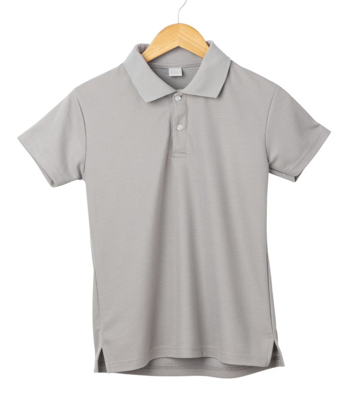 Dash Ventures Casual Grey Polo